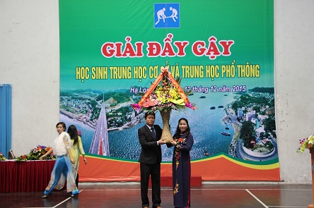 Đẩy gậy cấp tỉnh